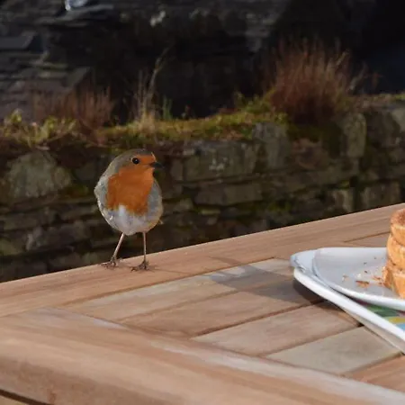 Σπίτι διακοπών Chapel Bank House Coniston